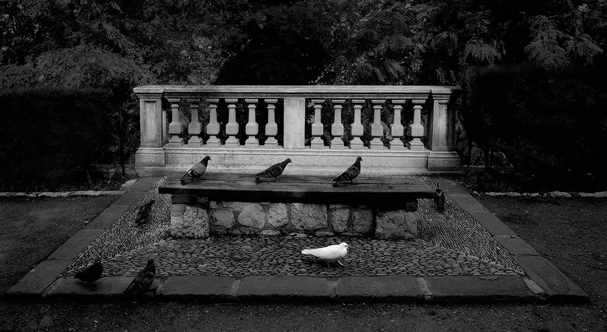 Мир, пребывающий в гармонии, на фотографиях Пентти Саммаллахти 5 1