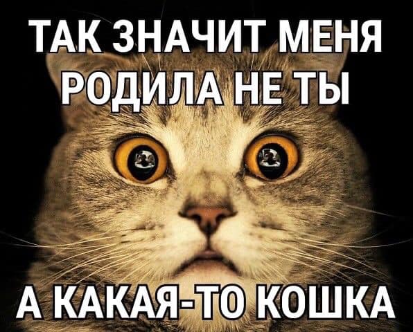 — Дорогой, я тебе кашу сварила, будешь?... Весёлые,прикольные и забавные фотки и картинки,А так же анекдоты и приятное общение