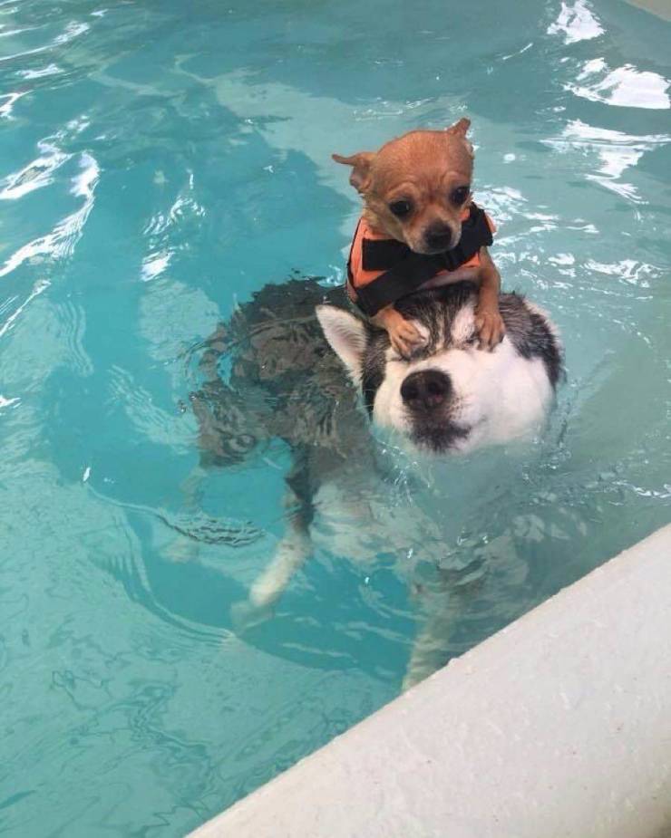 Подборка прикольных картинок Подборка прикольных картинок приколы,смешные картинки,юмор