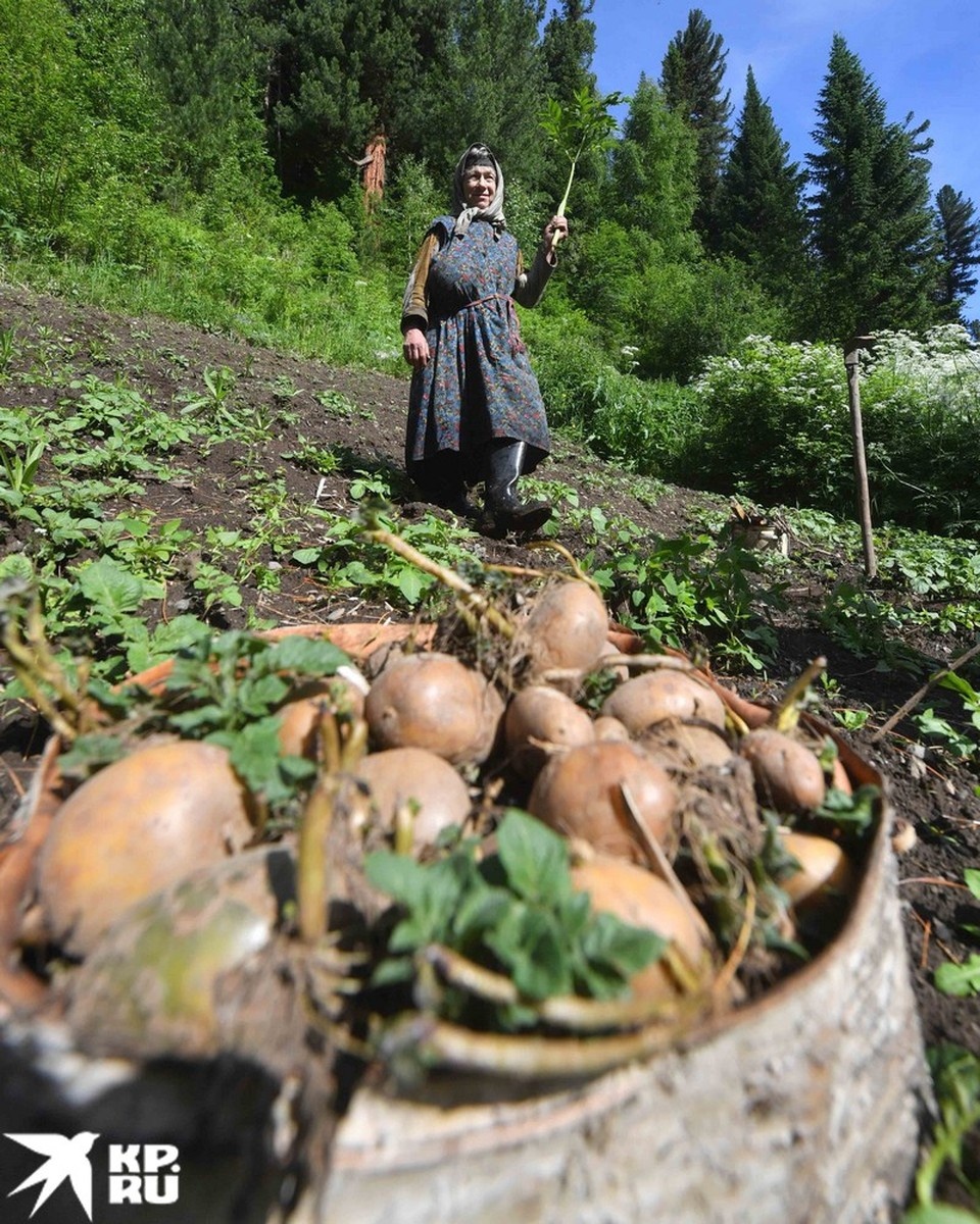   Владимир ВЕЛЕНГУРИН