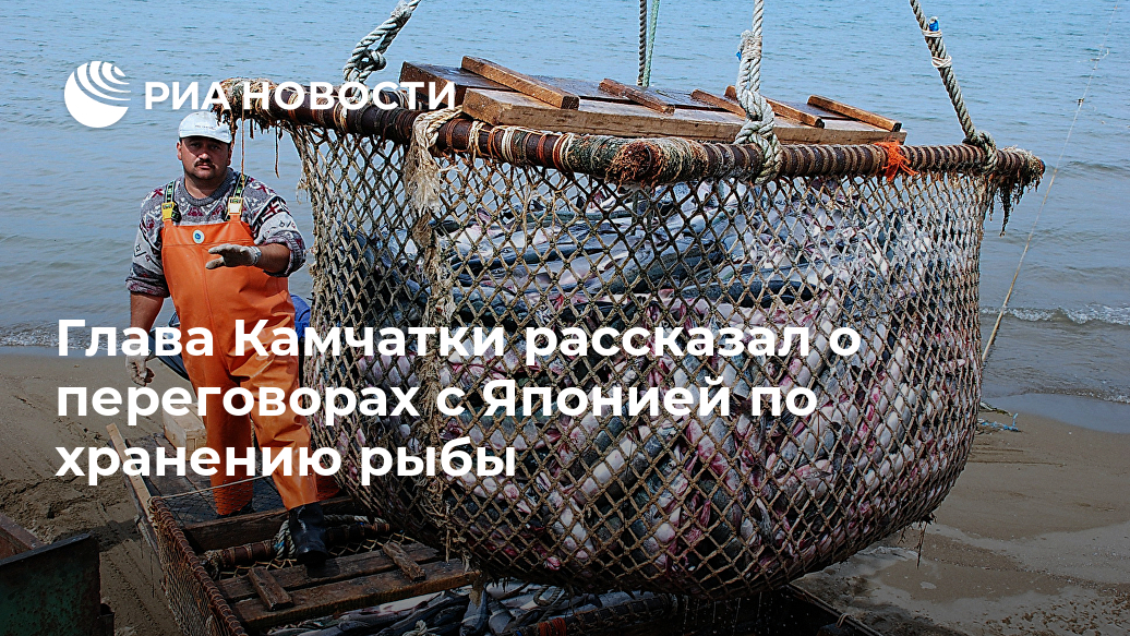 Глава Камчатки рассказал о переговорах с Японией по хранению рыбы Лента новостей