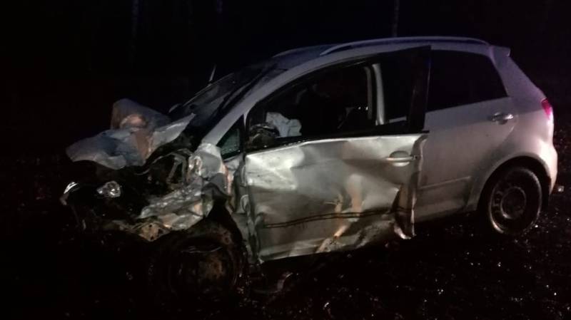 Лихач на BMW погубил себя и пассажирку в Нижегородской области