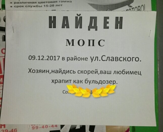 Этих ребят кто-то сглазил, иначе, как объяснить все эти "чудеса" жиза, жизнь, жизнь - боль, неудача, прикол, провал, юмор