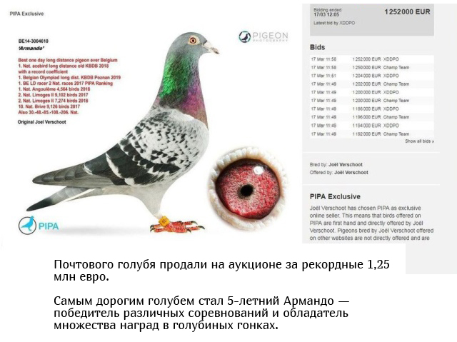 Подборка прикольных картинок Подборка прикольных картинок смешные картинки