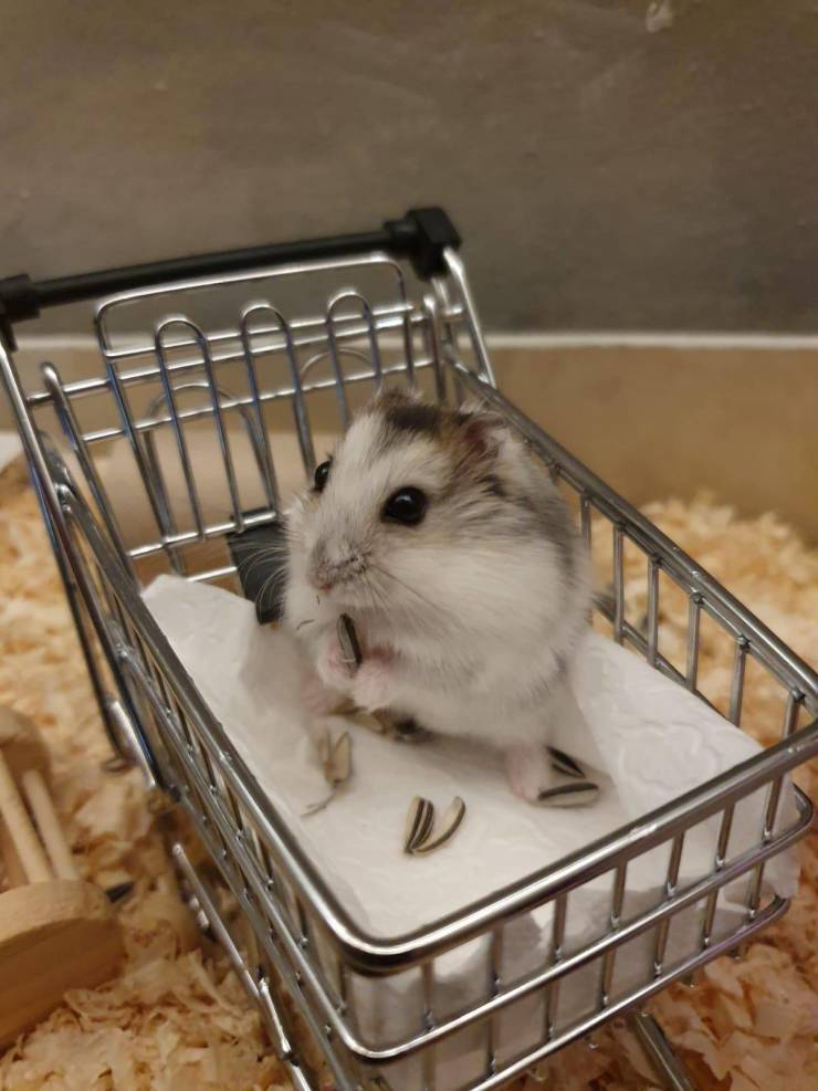 Подборка прикольных картинок Подборка прикольных картинок приколы,смешные картинки,юмор