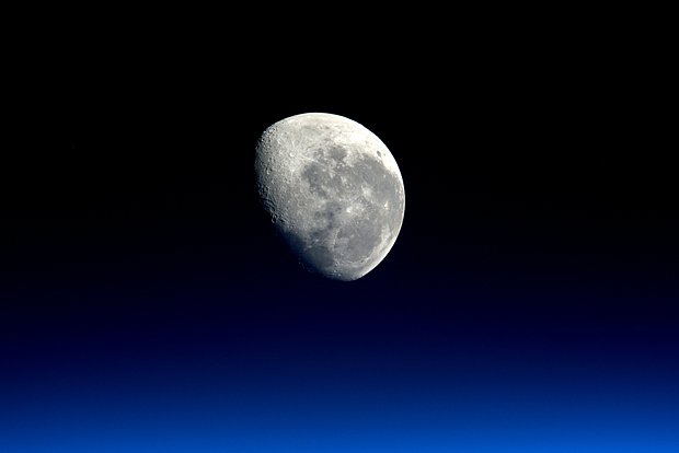 Ученые предложили использовать Луну в качестве хранилища исчезающих видов животных