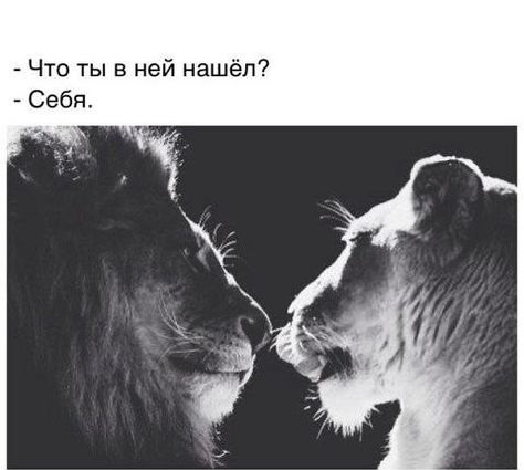 Для любителей хорошего юмора 