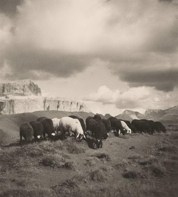 Талантливый фотограф начала XX века Rudolf Koppitz 