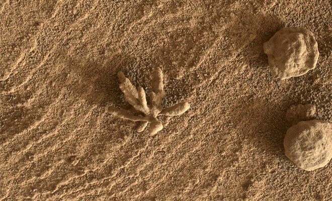На Марсе нашли нашли каменное образование, которое похоже на застывшее живое существо