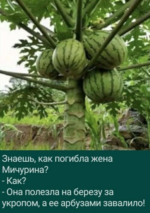 А сейчас о главном: сегодня главный опоздал на работу... Весёлые,прикольные и забавные фотки и картинки,А так же анекдоты и приятное общение