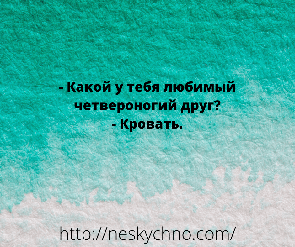 Забавные жизненные анекдоты для зачетного настроения Забавные жизненные анекдоты для зачетного настроения