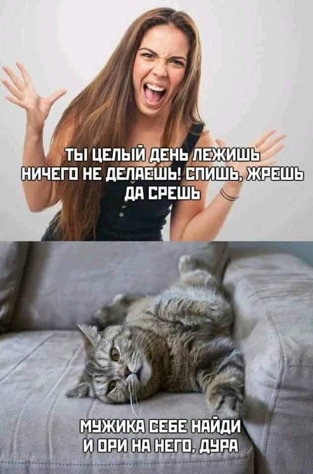 Лучшие анекдоты и шуточки дня: веселая подборочка! 