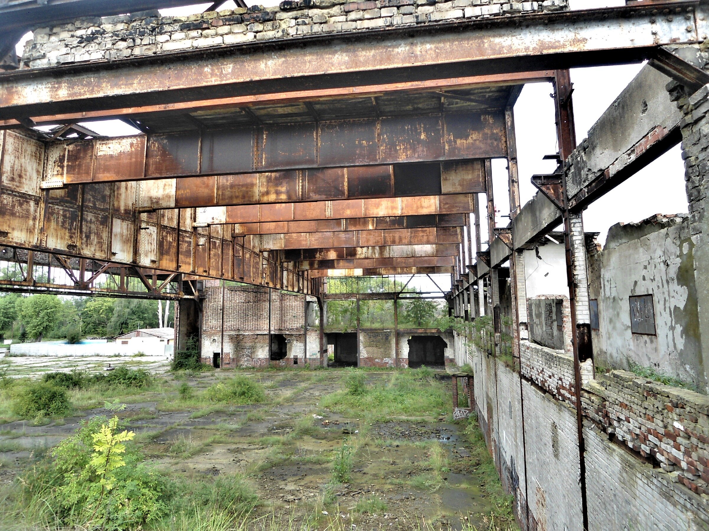 Заброшенный немецкий аэродром Люфтваффе Нойтиф. Начало. Заброшенный немецкий аэродром Люфтваффе Нойтиф. Начало.