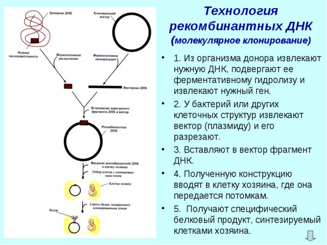 Как жить полноценной жизнью с диабетом 1-го типа: самые важные знания, гаджеты и психологические установки здоровье,медицина,технологии