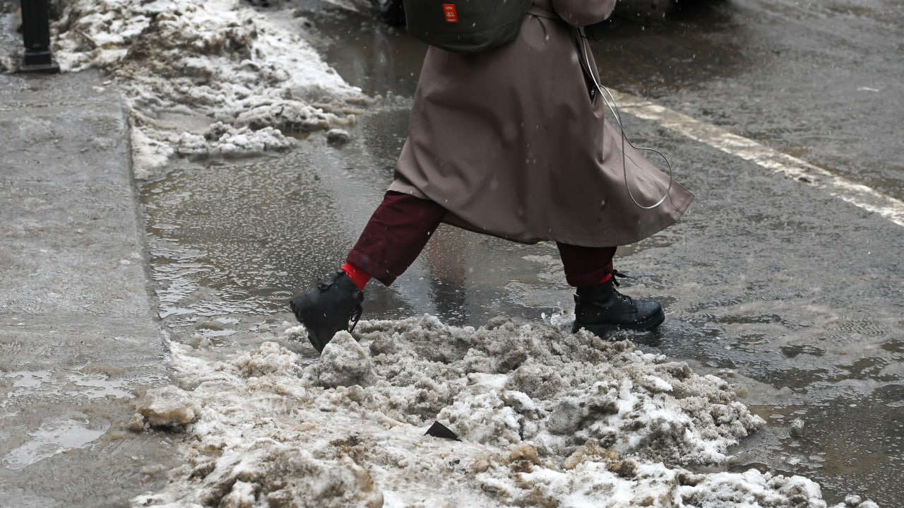 Эколог Шевчук: Петербург встретил корюшку «залповым» выбросом ядов Эколог Шевчук: Петербург встретил корюшку «залповым» выбросом ядов Общество