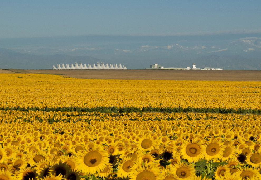 Путешествие в «Столетний штат» Путешествие в «Столетний штат» красота,природа,США