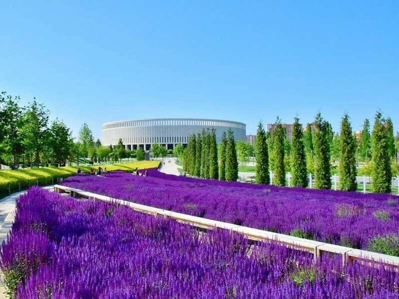 Добрый вечер! Добрый вечер! веселые картинки,юмор