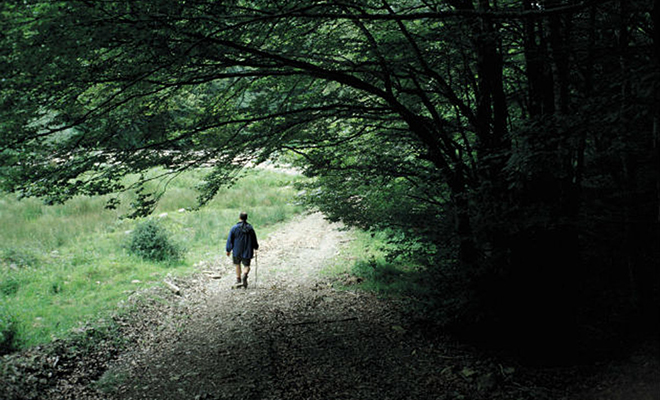 Мужчина больше 20 лет жил в лесу и не разговаривал ни с кем из людей, пока его искала полиция Мужчина больше 20 лет жил в лесу и не разговаривал ни с кем из людей, пока его искала полиция Культура