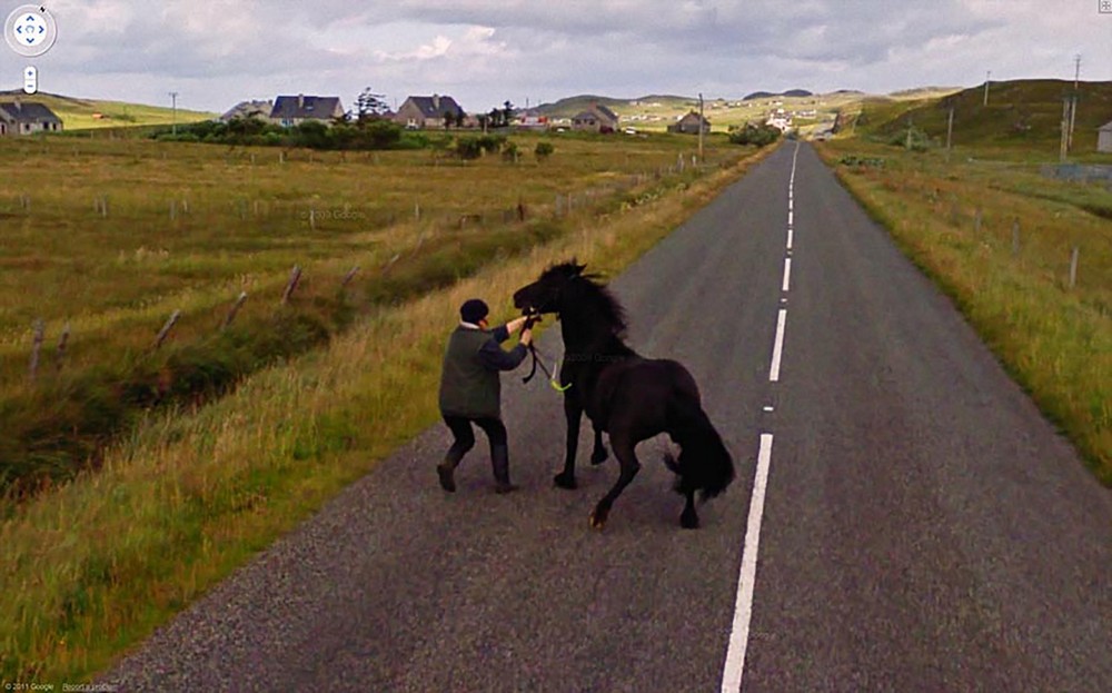 Необычные снимки, сделанные камерами Google Street View google street view,приколы,фото