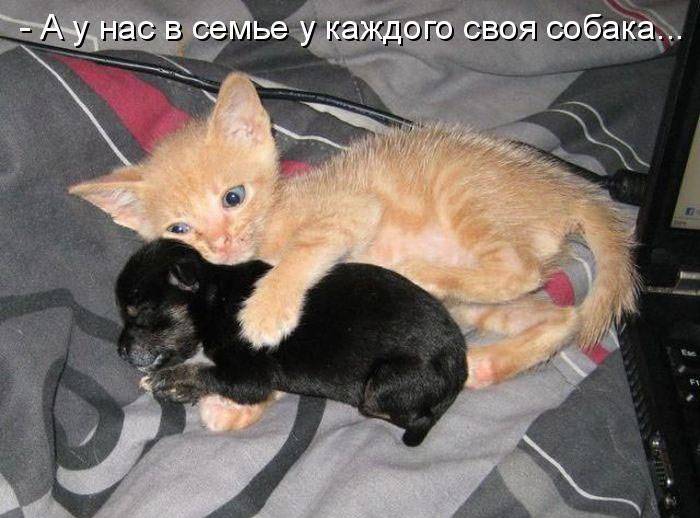 Подборка смешных и позитивных картинок для хорошего настроения Подборка смешных и позитивных картинок для хорошего настроения