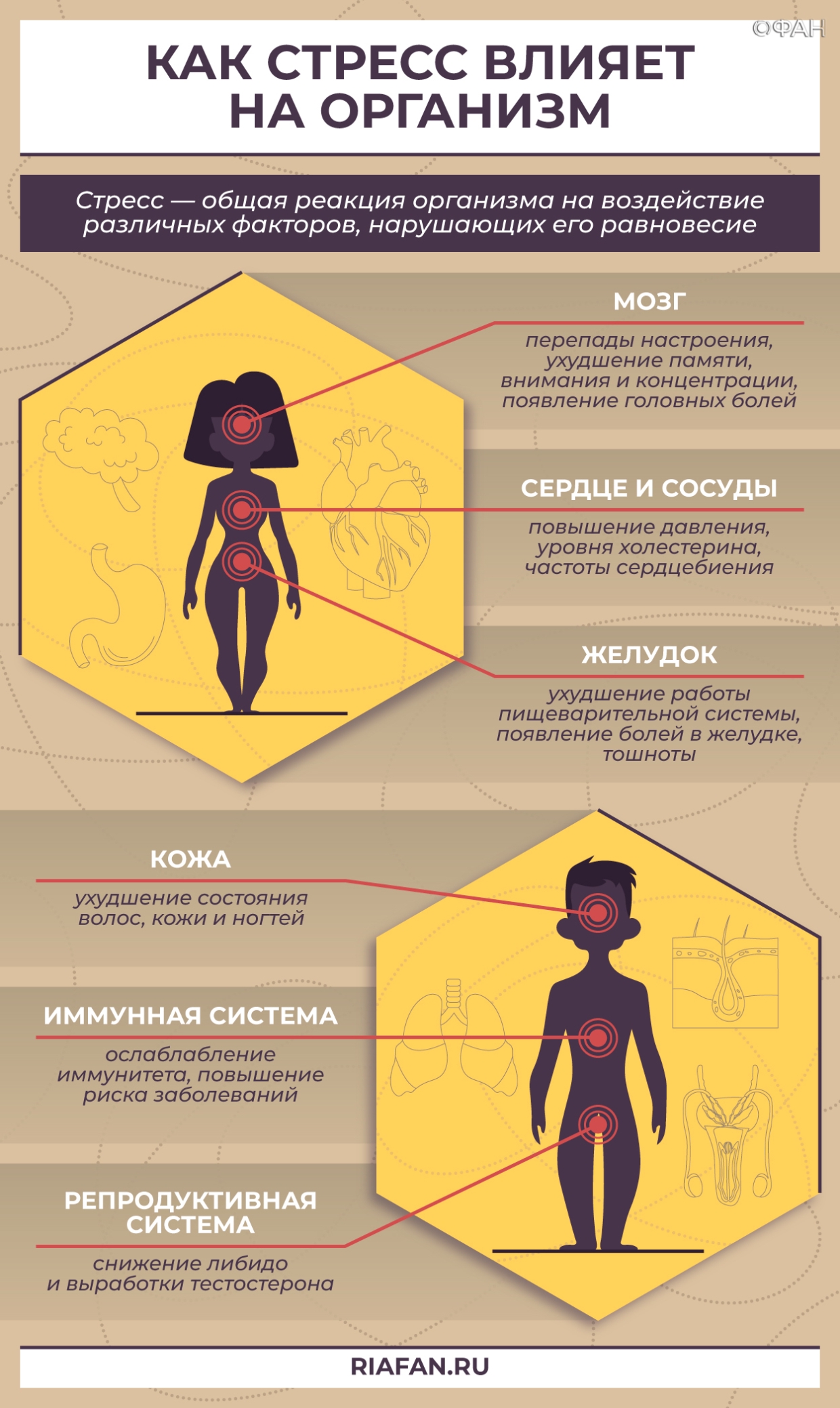 Влияние стрессов на здоровье человека проект по биологии 11 класс