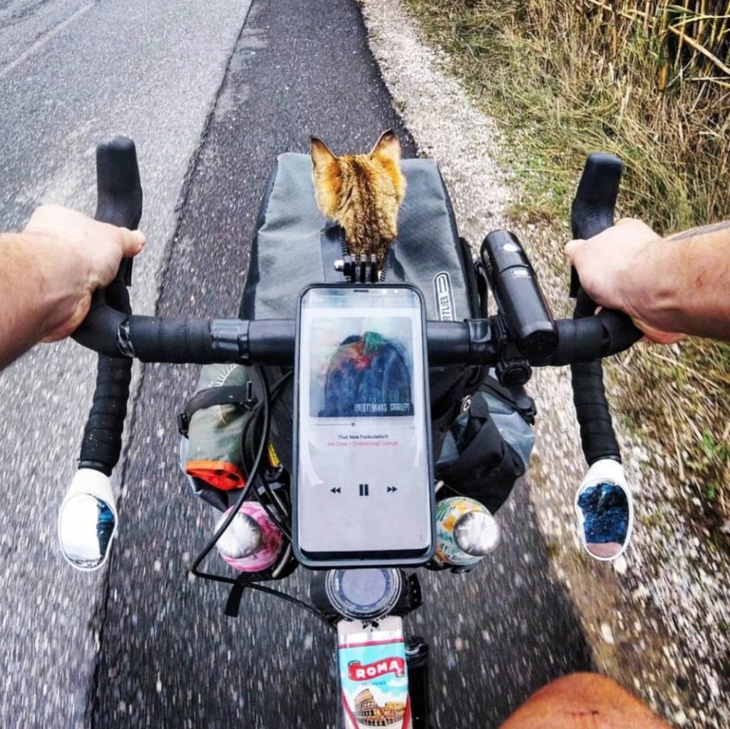 Шотландец уже год путешествует вокруг света с кошкой, которую нашел по дороге