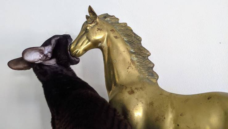 Подборка смешных картинок  приколы,смешные картинки,юмор