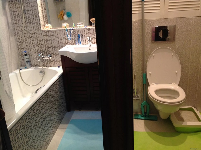 В Японии ванная и туалет – это две разные комнаты. / Фото: bigfoto.name