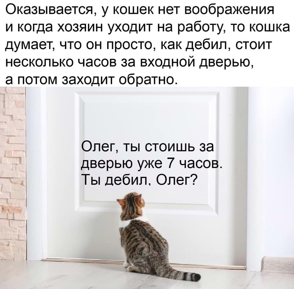 - Чо вы так паритесь из за возраста? Ведь с годами женщина, как и вино... Весёлые,прикольные и забавные фотки и картинки,А так же анекдоты и приятное общение