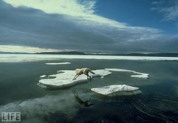 Редчайшие фотографии всех времен и народов (21 фото)