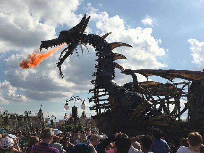 Классные и прикольные фотографии для настроения и улыбки 