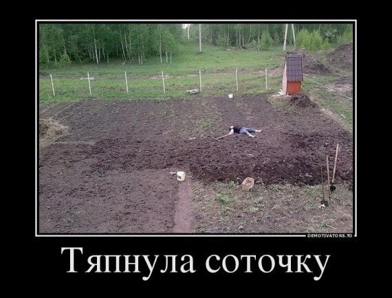 Дачный юмор 