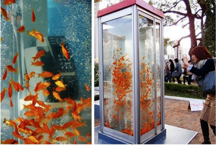 17 малоизвестных изобретений, которые смело можно назвать гениальными гаджеты