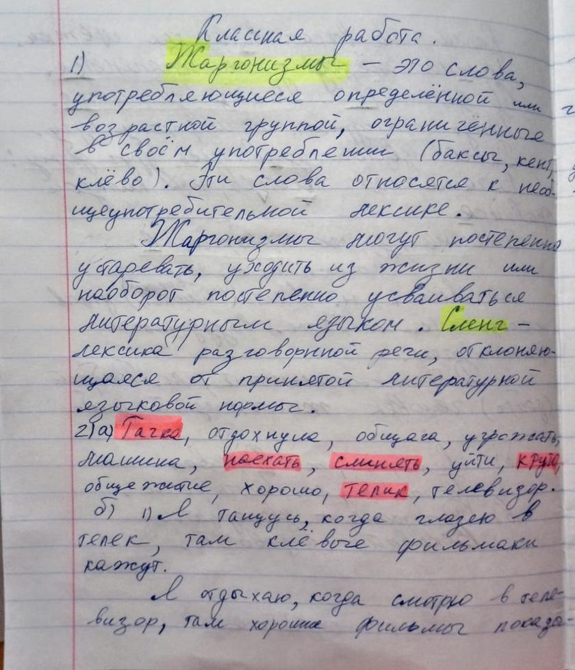 Урок русского языка в школе СПб: «Мы вчера оттянулись на дискаче, там было ржачно и клево». россия