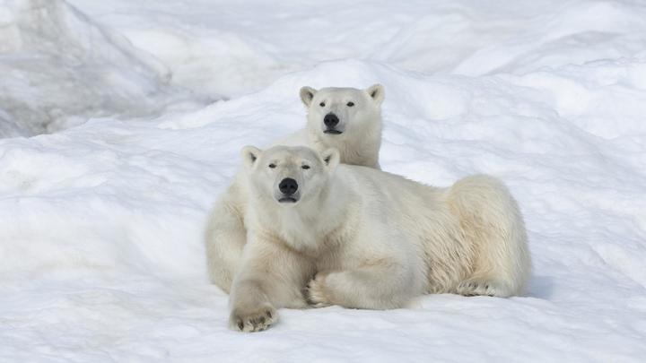 ПОСЛЕДНИЕ НОВОСТИ: 20.11.2022 вечер геополитика,россия,украина