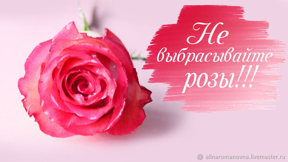 Продлеваем жизнь цветам