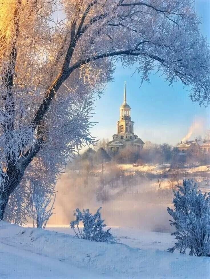 БОЙ ЗА САМОЕ ДОРОГОЕ животные,Истории из жизни,отношения,позитив