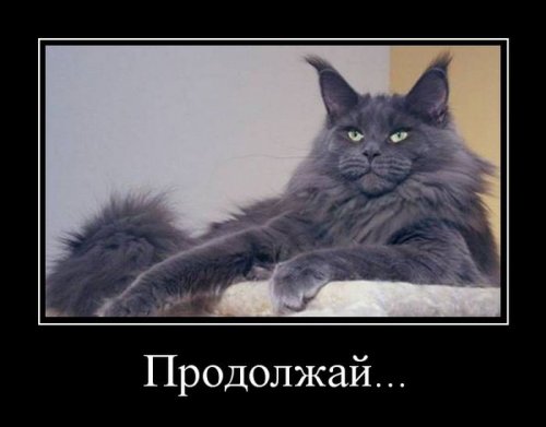 Семья - это разговаривать с человеком, который сидит в туалете анекдоты