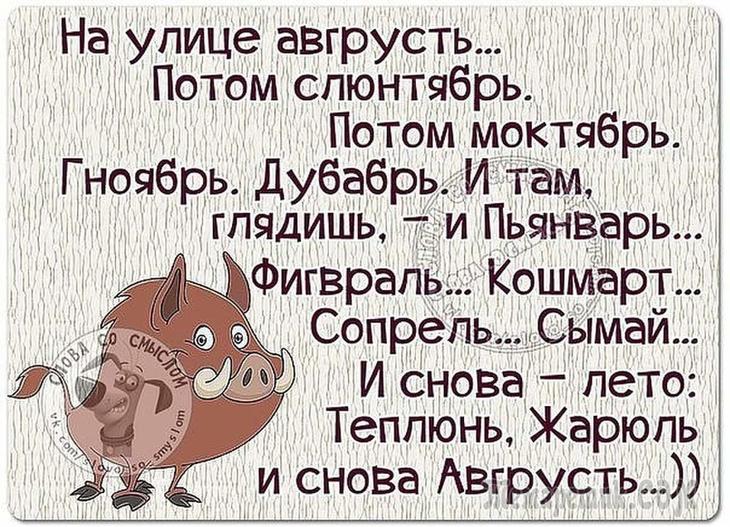Стандартной, анекдоты картинки открытки