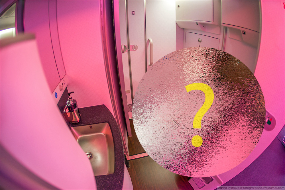 Самый необычный туалет в самолёте