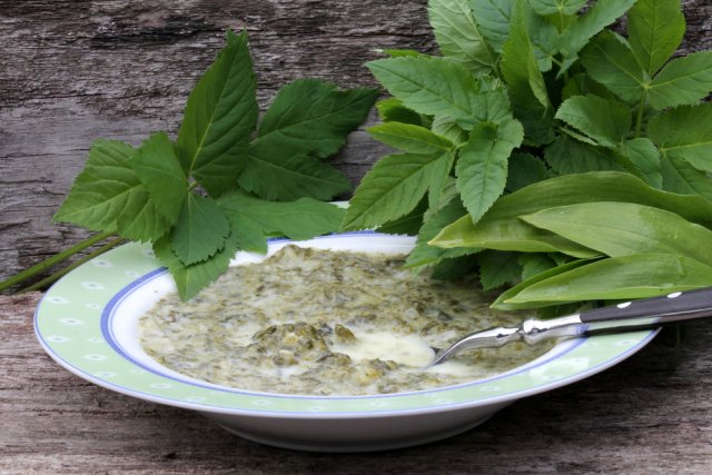 Летние щи: с капустой, с крапивой, со щавелем и другими вкусностями Летние щи: с капустой, с крапивой, со щавелем и другими вкусностями промойте, нарежьте, минут, добавьте, мелко, затем, специи, хорошо, бульон, зелень, очистите, морковь, Варите, влейте, массу, shutterstockcom, снимите, кипения, сковороду, можно