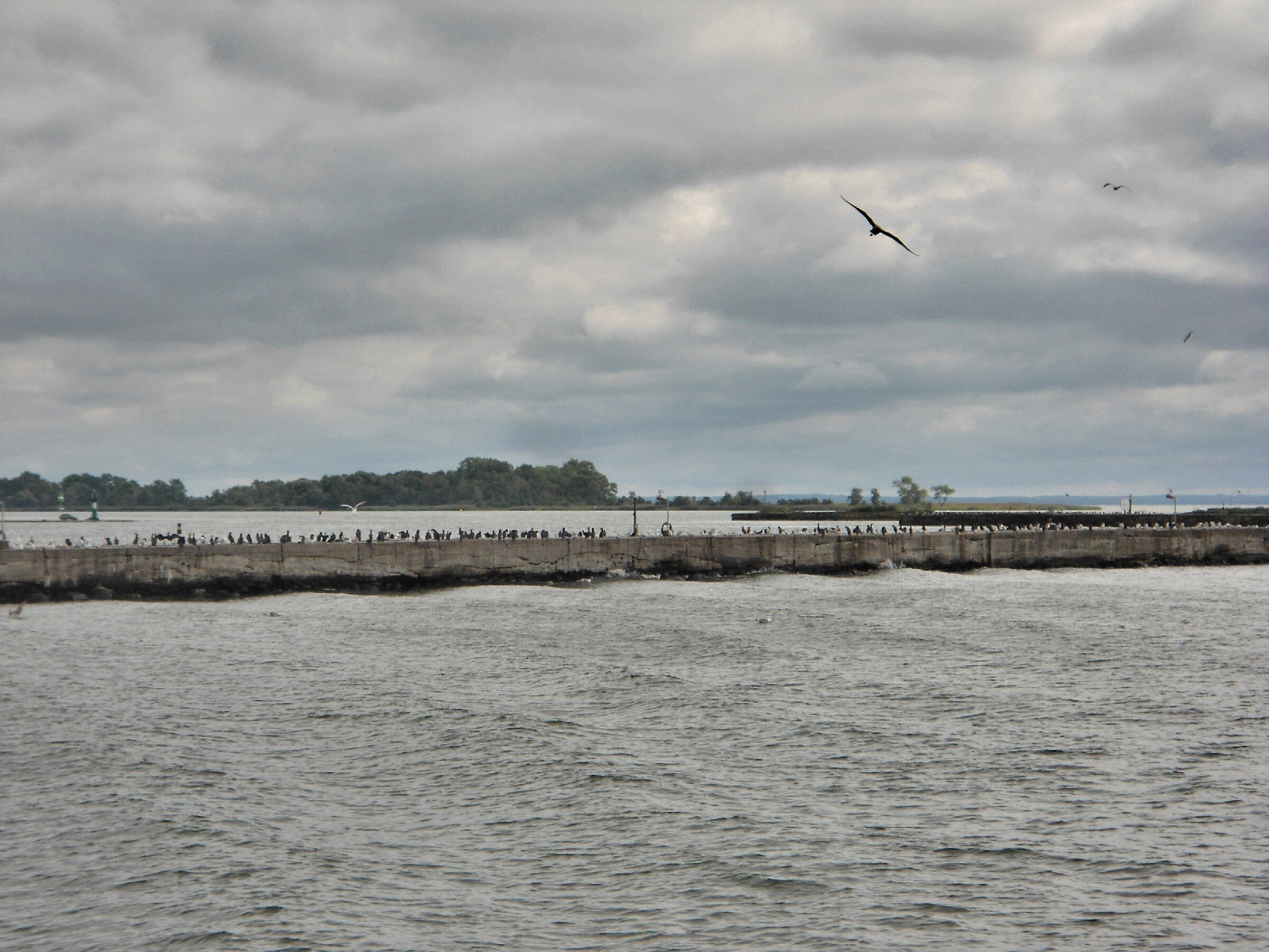 Заброшенный немецкий аэродром Люфтваффе Нойтиф. Начало. Заброшенный немецкий аэродром Люфтваффе Нойтиф. Начало.