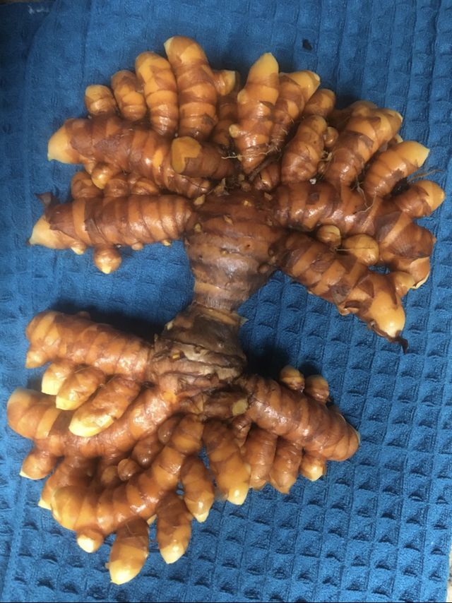 20 фотографий интересных вещей, которые редко можно увидеть и то, если очень повезет 20 фотографий интересных вещей, которые редко можно увидеть и то, если очень повезет