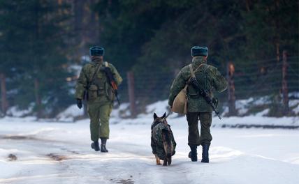 Российские погранвойска: возрождение из пепла Белгородская обл,[467789],Краснояружский р-н [473096],м,р-н,Краснояружский [95239328],респ,Крым [1434425],Россия,с,п,Теребренское [95239336],с,Теребрено [474366]