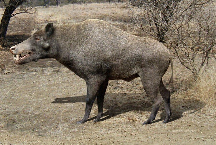 Доисторические животные