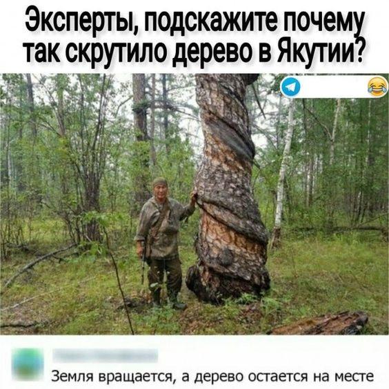 20 + уморительных картинок из соцсетей 