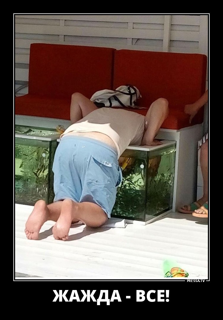 Забавные веселые демотиваторы обо всем на свете Забавные веселые демотиваторы обо всем на свете