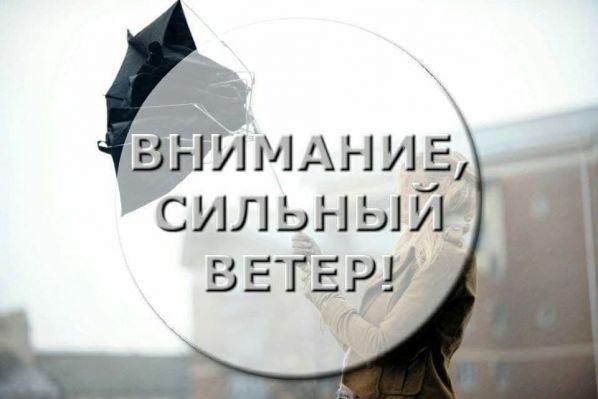 Гидрометцентр МЧС ДНР предупреждает о сильном ветре