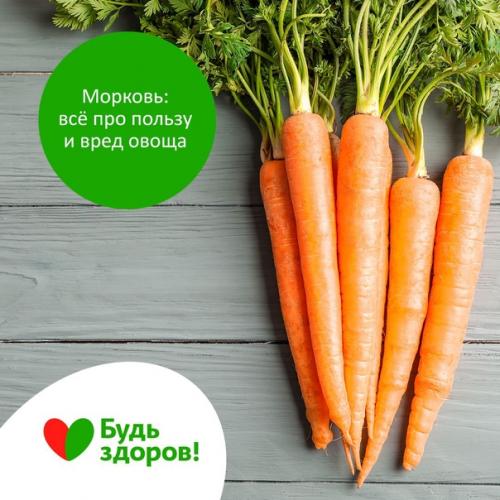 Полезные свойства моркови, о которых вы могли не знать.