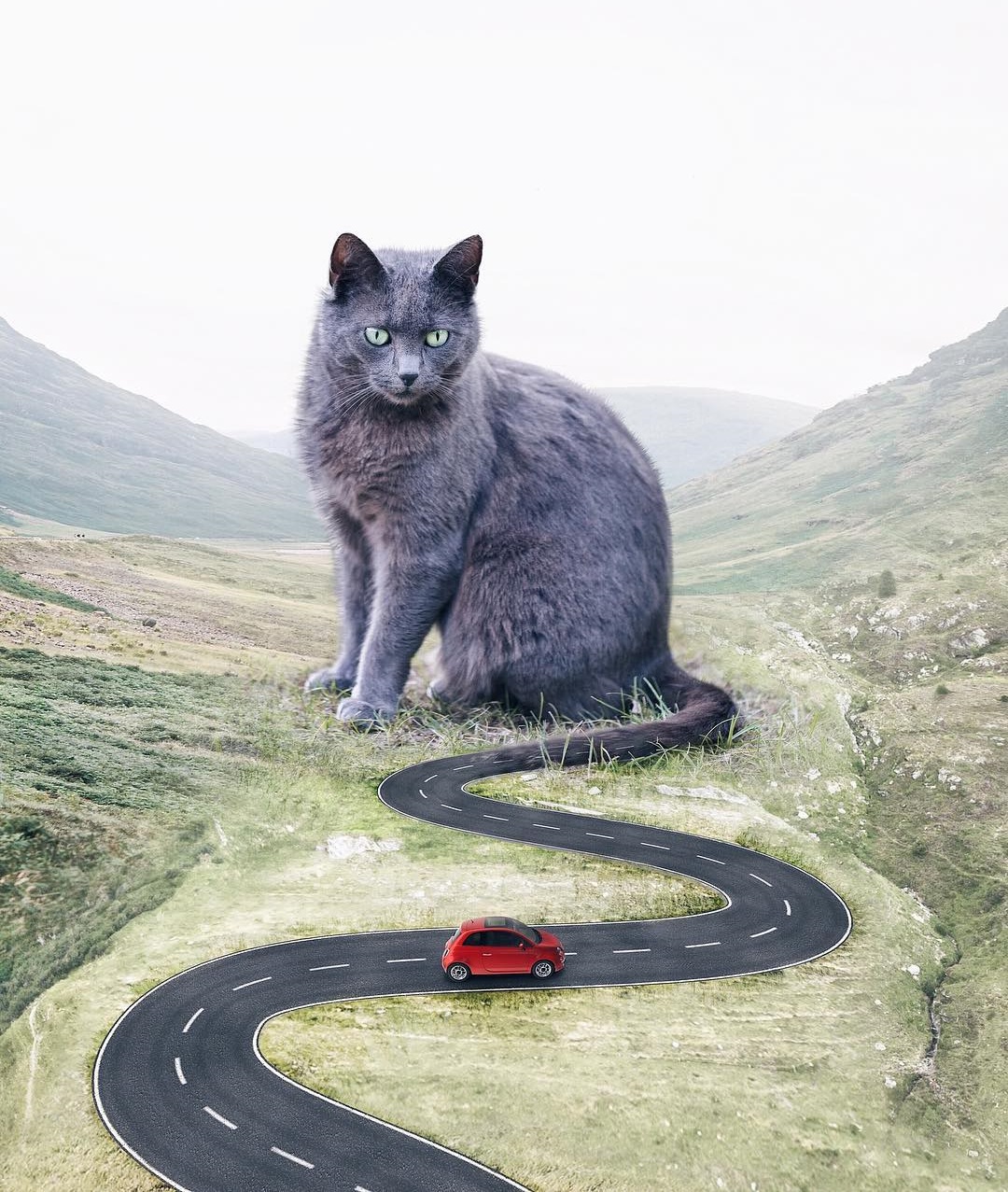 Луиза Азеведо и ее сказки Луиза Азеведо и ее сказки